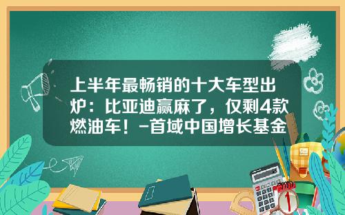 上半年最畅销的十大车型出炉：比亚迪赢麻了，仅剩4款燃油车！-首域中国增长基金【新闻】.