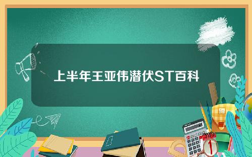 上半年王亚伟潜伏ST百科