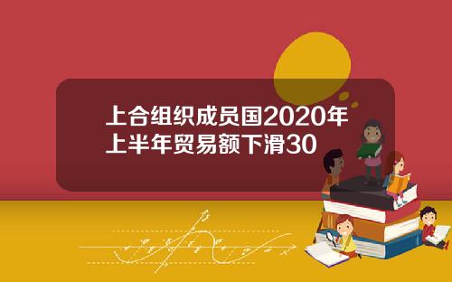 上合组织成员国2020年上半年贸易额下滑30