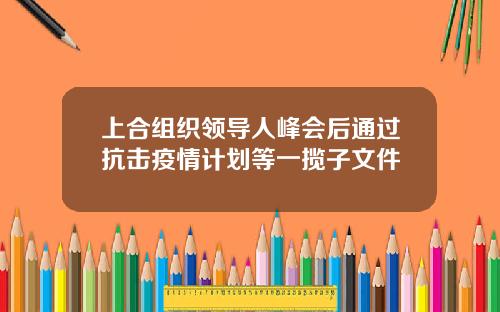 上合组织领导人峰会后通过抗击疫情计划等一揽子文件