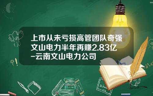上市从未亏损高管团队奇强文山电力半年再赚2.83亿-云南文山电力公司
