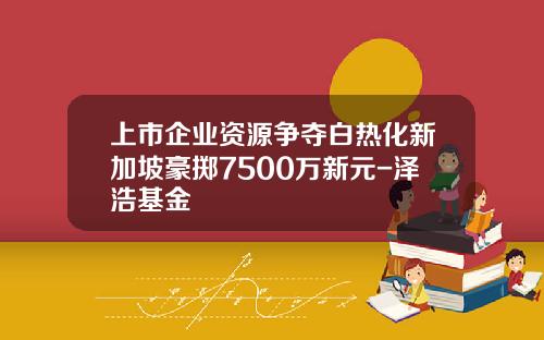 上市企业资源争夺白热化新加坡豪掷7500万新元-泽浩基金