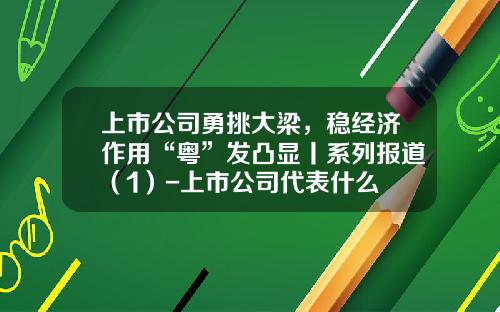上市公司勇挑大梁，稳经济作用“粤”发凸显丨系列报道（1）-上市公司代表什么