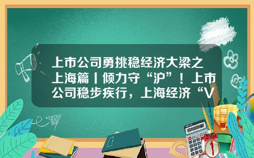 上市公司勇挑稳经济大梁之上海篇丨倾力守“沪”！上市公司稳步疾行，上海经济“V”形反转-上海上市公司分析