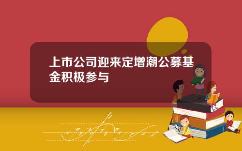 上市公司迎来定增潮公募基金积极参与
