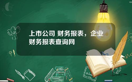 上市公司 财务报表，企业财务报表查询网