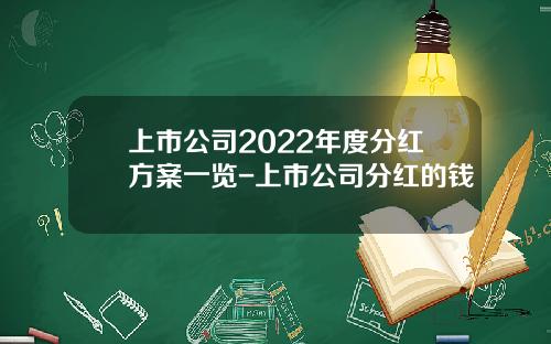 上市公司2022年度分红方案一览-上市公司分红的钱