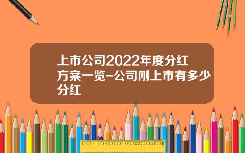 上市公司2022年度分红方案一览-公司刚上市有多少分红