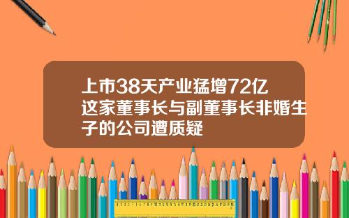 上市38天产业猛增72亿这家董事长与副董事长非婚生子的公司遭质疑