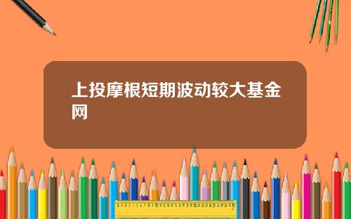 上投摩根短期波动较大基金网
