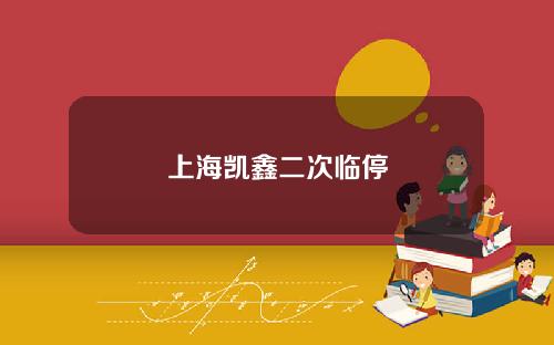 上海凯鑫二次临停