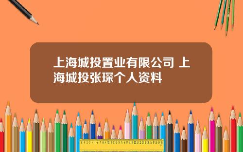 上海城投置业有限公司 上海城投张琛个人资料