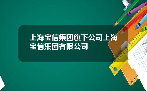 上海宝信集团旗下公司上海宝信集团有限公司