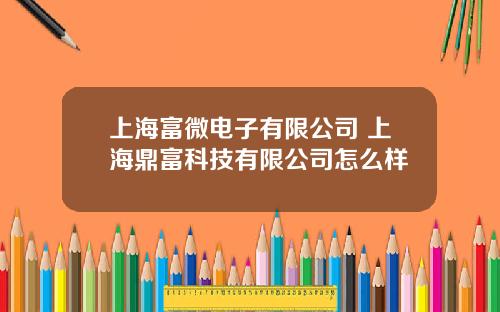 上海富微电子有限公司 上海鼎富科技有限公司怎么样