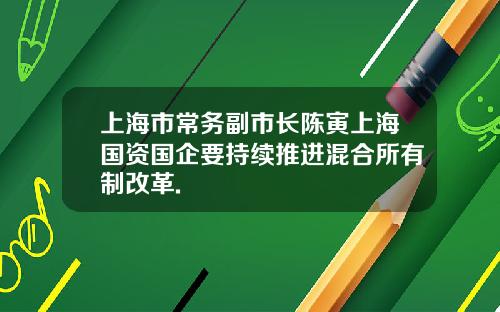上海市常务副市长陈寅上海国资国企要持续推进混合所有制改革.