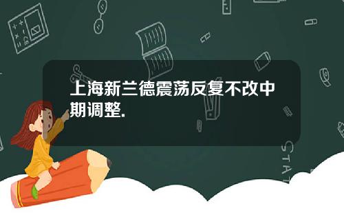 上海新兰德震荡反复不改中期调整.