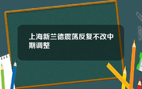 上海新兰德震荡反复不改中期调整
