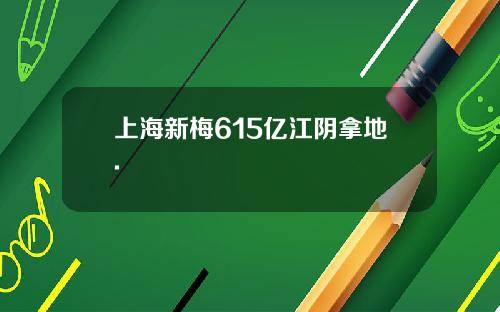 上海新梅615亿江阴拿地.