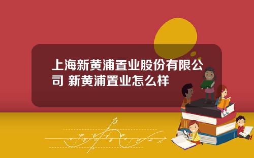 上海新黄浦置业股份有限公司 新黄浦置业怎么样