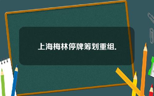 上海梅林停牌筹划重组.
