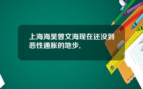 上海海昊曾文海现在还没到恶性通胀的地步.