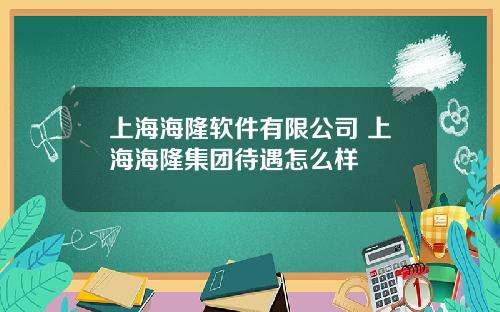 上海海隆软件有限公司 上海海隆集团待遇怎么样
