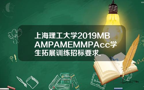 上海理工大学2019MBAMPAMEMMPAcc学生拓展训练招标要求.