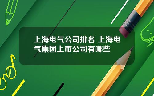 上海电气公司排名 上海电气集团上市公司有哪些