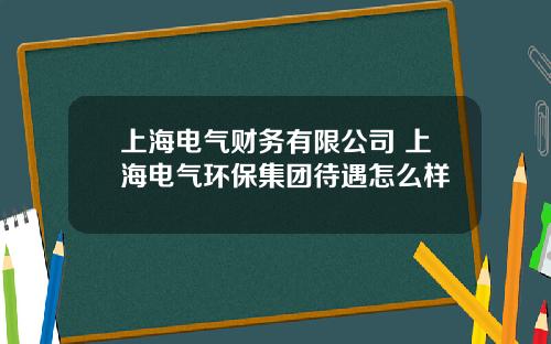 上海电气财务有限公司 上海电气环保集团待遇怎么样