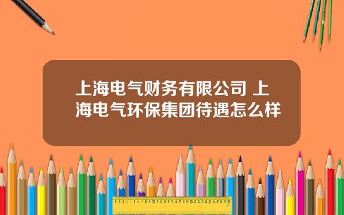 上海电气财务有限公司 上海电气环保集团待遇怎么样