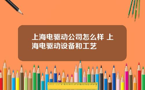 上海电驱动公司怎么样 上海电驱动设备和工艺