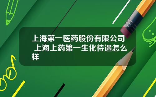 上海第一医药股份有限公司 上海上药第一生化待遇怎么样