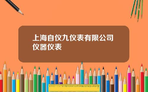 上海自仪九仪表有限公司 仪器仪表