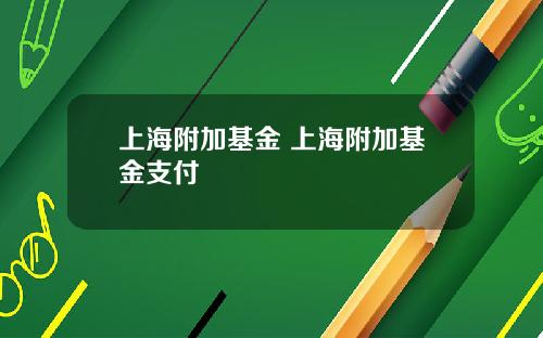 上海附加基金 上海附加基金支付