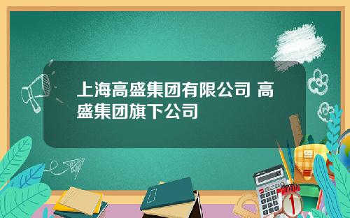 上海高盛集团有限公司 高盛集团旗下公司