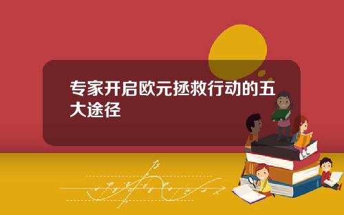 专家开启欧元拯救行动的五大途径