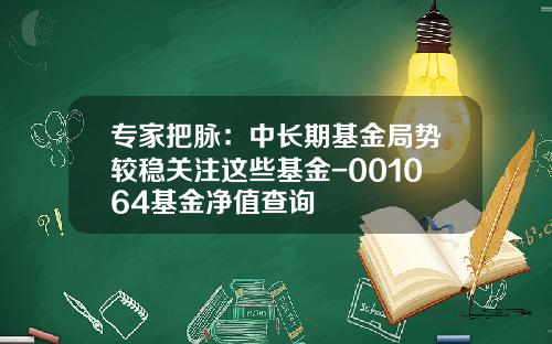 专家把脉：中长期基金局势较稳关注这些基金-001064基金净值查询