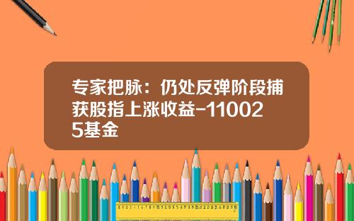 专家把脉：仍处反弹阶段捕获股指上涨收益-110025基金