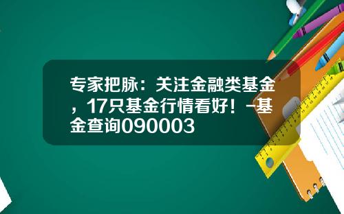 专家把脉：关注金融类基金，17只基金行情看好！-基金查询090003