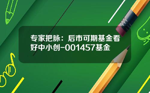 专家把脉：后市可期基金看好中小创-001457基金