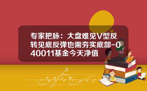 专家把脉：大盘难见V型反转见底反弹也需夯实底部-040011基金今天净值