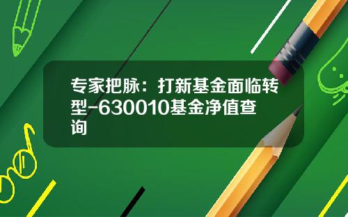 专家把脉：打新基金面临转型-630010基金净值查询