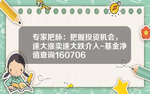 专家把脉：把握投资机会，逢大涨卖逢大跌介入-基金净值查询160706