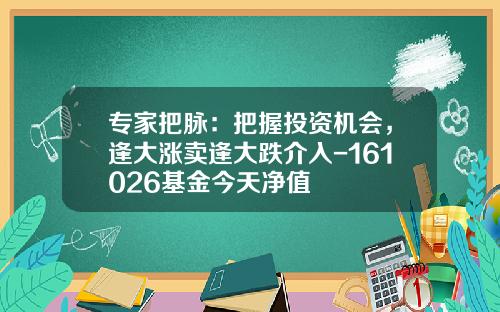 专家把脉：把握投资机会，逢大涨卖逢大跌介入-161026基金今天净值