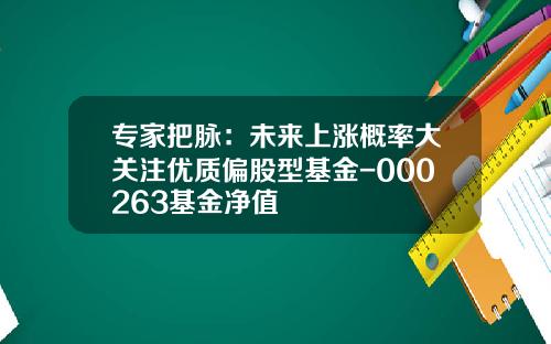 专家把脉：未来上涨概率大关注优质偏股型基金-000263基金净值