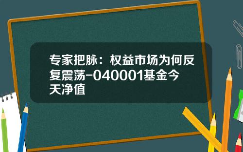 专家把脉：权益市场为何反复震荡-040001基金今天净值