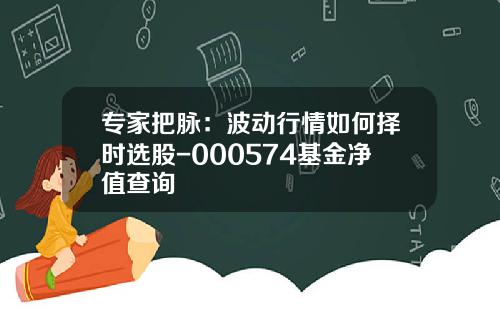 专家把脉：波动行情如何择时选股-000574基金净值查询