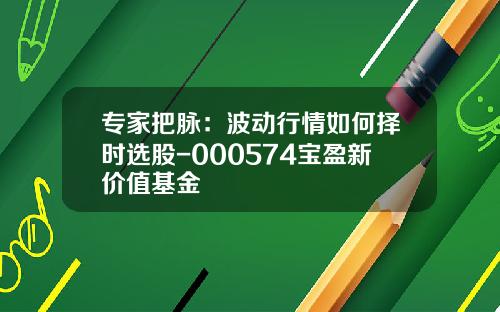 专家把脉：波动行情如何择时选股-000574宝盈新价值基金