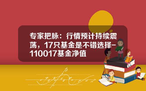 专家把脉：行情预计持续震荡，17只基金是不错选择-110017基金净值