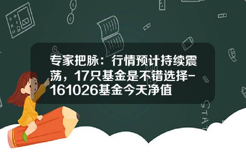 专家把脉：行情预计持续震荡，17只基金是不错选择-161026基金今天净值